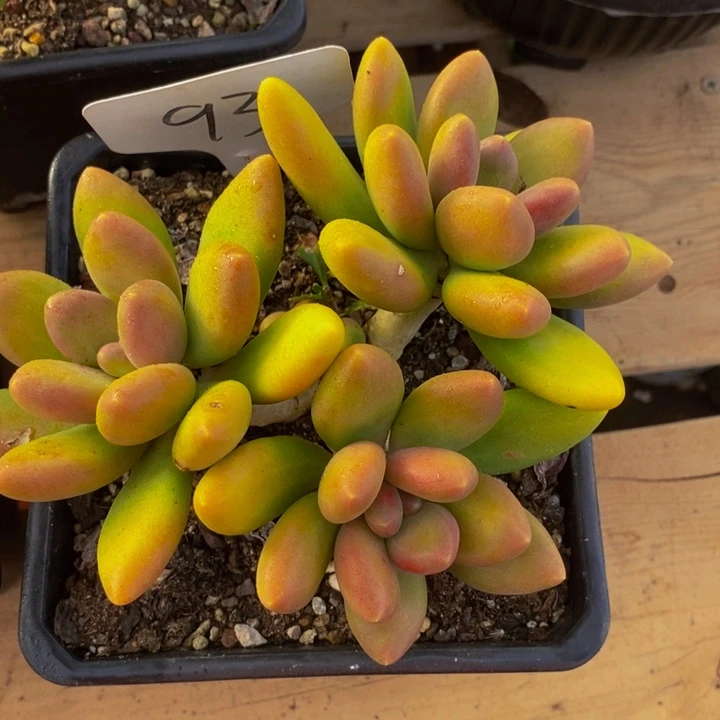 是吗这不还没有下班