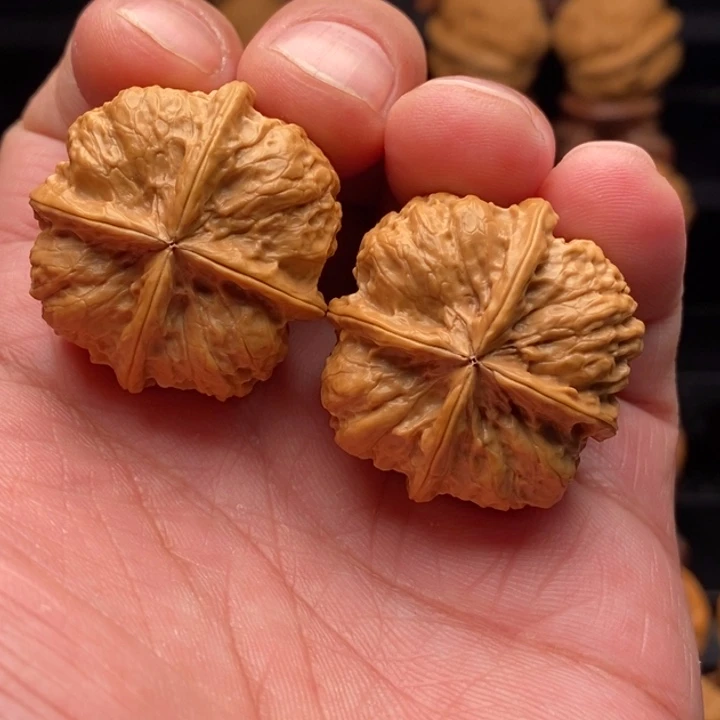 文玩核桃把件4菊花纹34尺