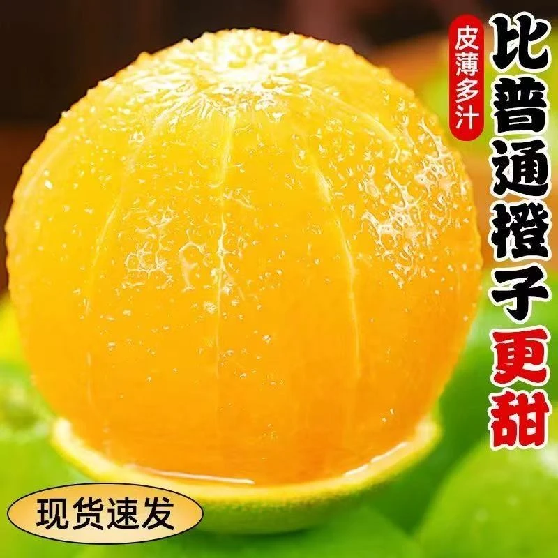 云南哀牢山青皮冰糖橙新鲜应季现摘皮薄多汁清甜可口