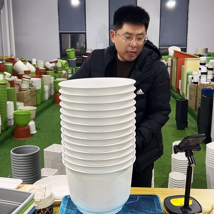 正品矮陶口24高17白色6只无托