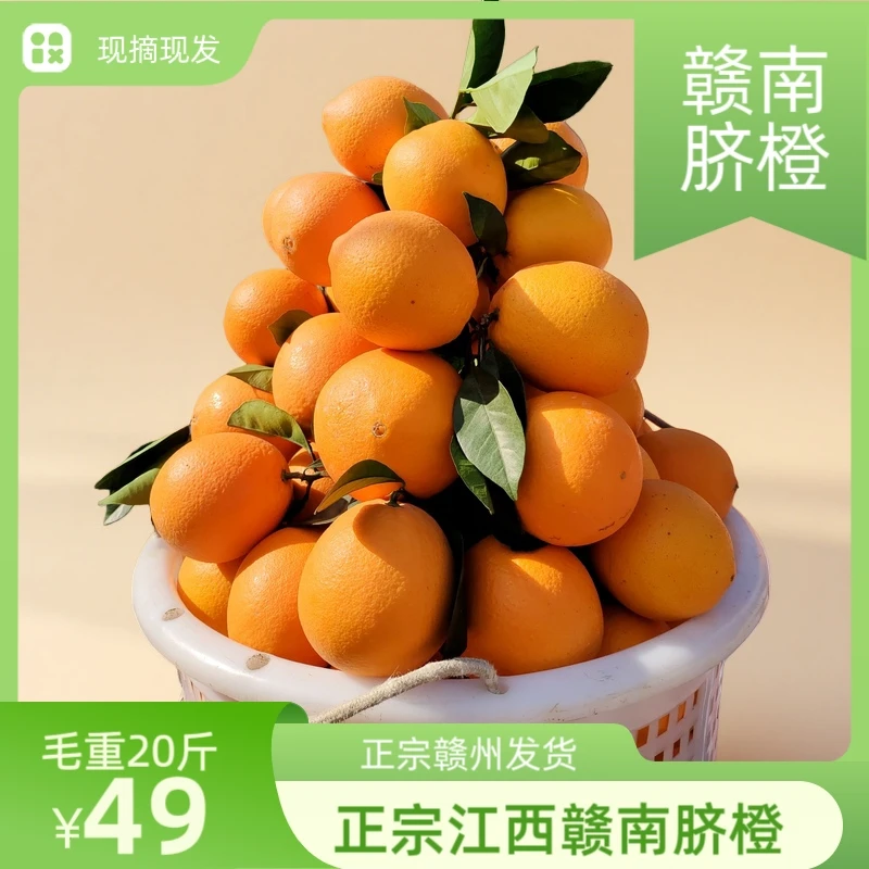 正宗江西赣南脐橙甜橙子果园现摘现发新鲜水果20斤包甜果
