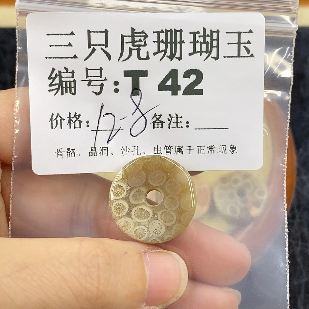 硅化珊瑚（珊瑚玉）1未镶嵌蔷*