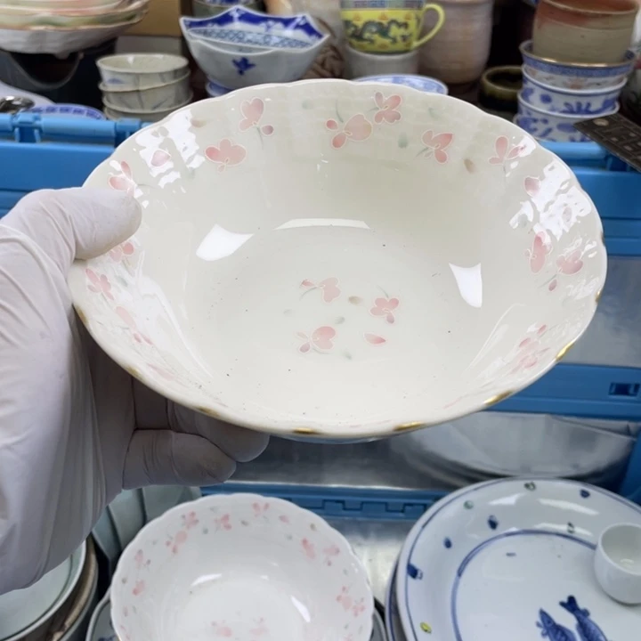 碟开播了开播了开播了