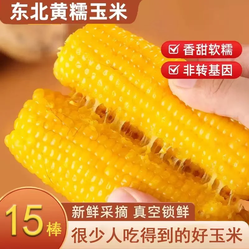 【试吃2根】东北黄糯玉米香甜软糯粗粮 软粘玉米棒整箱15支7-8斤