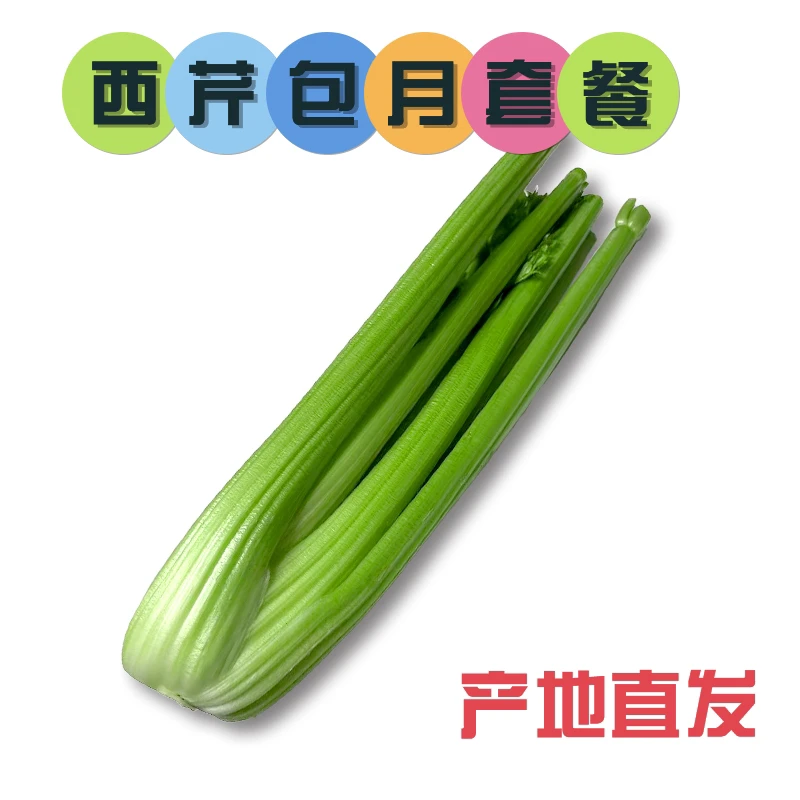 【会员包月】精品榨汁西芹30斤 单次可发5斤 生吃榨汁水果西芹