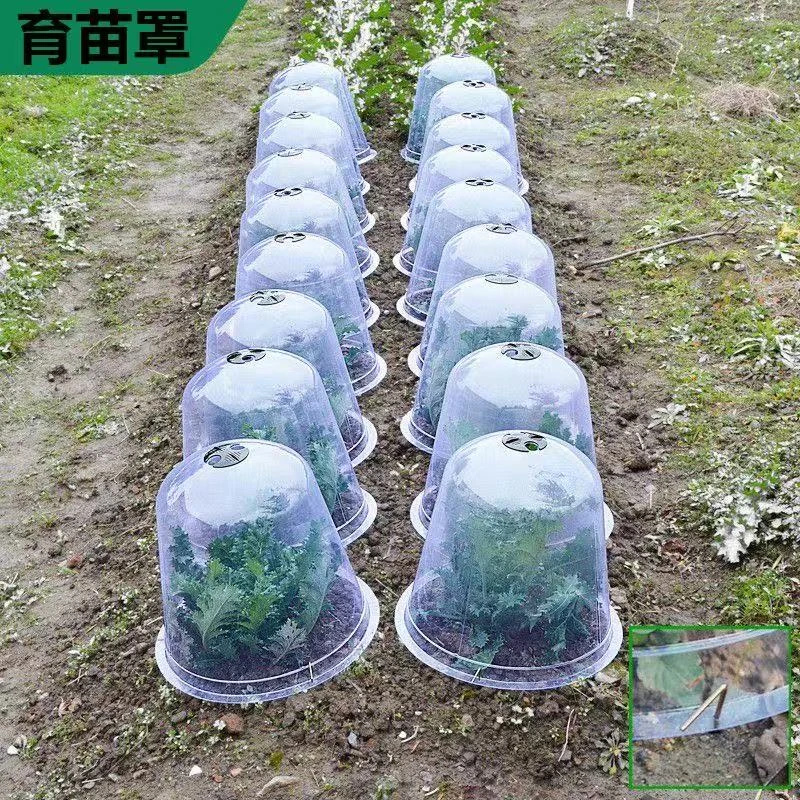 育苗防冻蔬菜育苗保暖保温塑料透气种植保护幼苗透明植物闷养