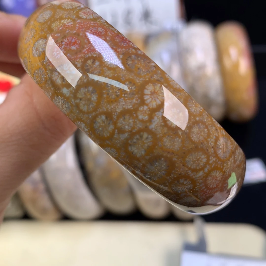 硅化珊瑚（珊瑚玉）未镶嵌吊坠(赠链)上新51.3圈（21号）