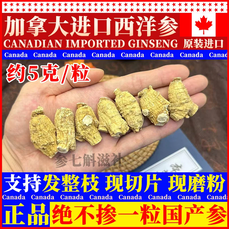 【5~6克/粒西洋参】正宗加拿大进口西洋参煮汤泡水现场切片磨粉