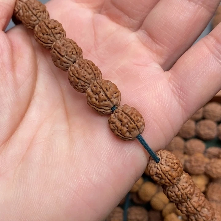 菩提心****?盘龙王小金刚