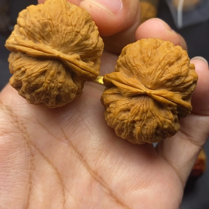 把件文玩核桃37尺铁狮子