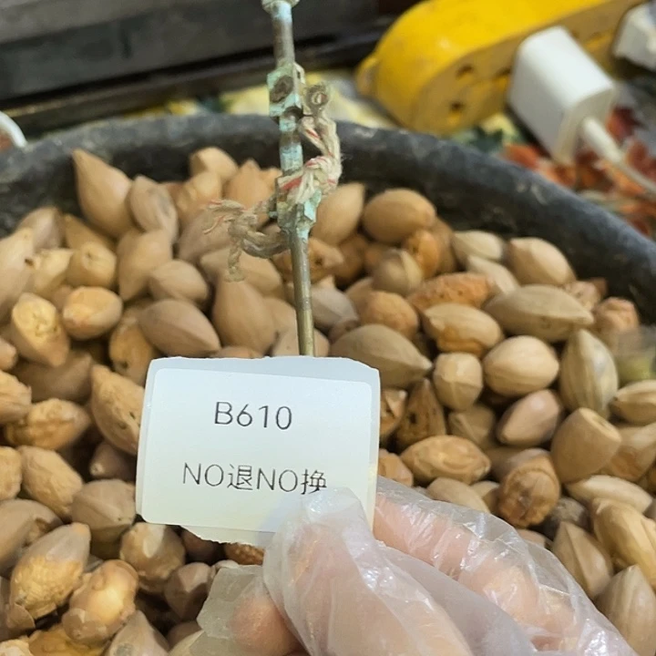 〓***〓陶其他B610号工艺品