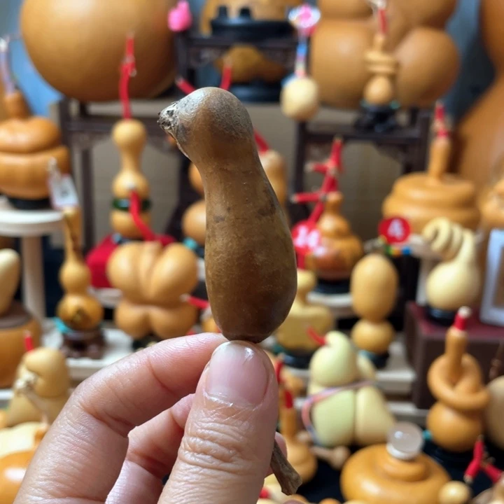 小****不过这个节目就是相当精彩