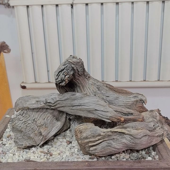 檀香紫檀（小叶紫檀）一**光