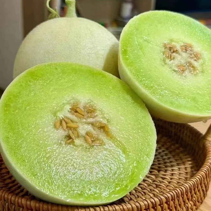 正宗玉菇冰淇淋甜瓜软糯香甜新鲜应季水果薄皮白瓜