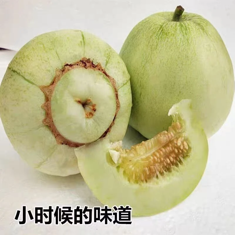 农家现摘老品种小香瓜老式小甜瓜特产应季脆甜新鲜小白瓜