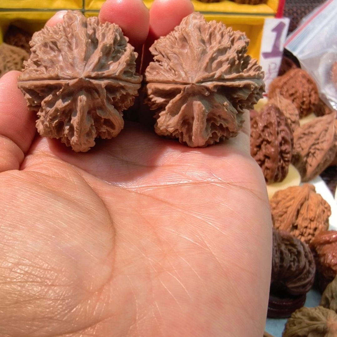 文玩核桃把件东北野生大秋子珊瑚