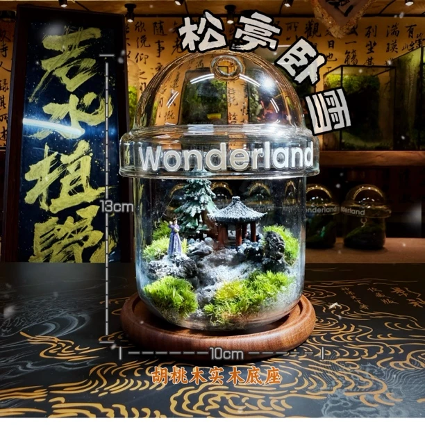 蛋仔成品微景观玻璃瓶生态瓶苔藓瓶办公室桌面摆件绿植创意礼物