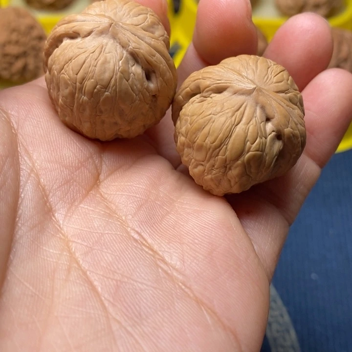 文玩核桃乾坤元宝29