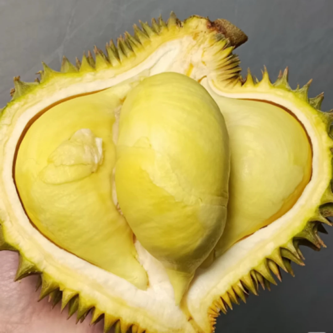 泰国金枕新鲜榴莲L号4-4.5斤核小超甜金枕泰国
