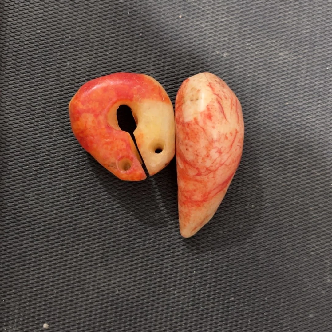 缸励*v c g g x g g g g g g g