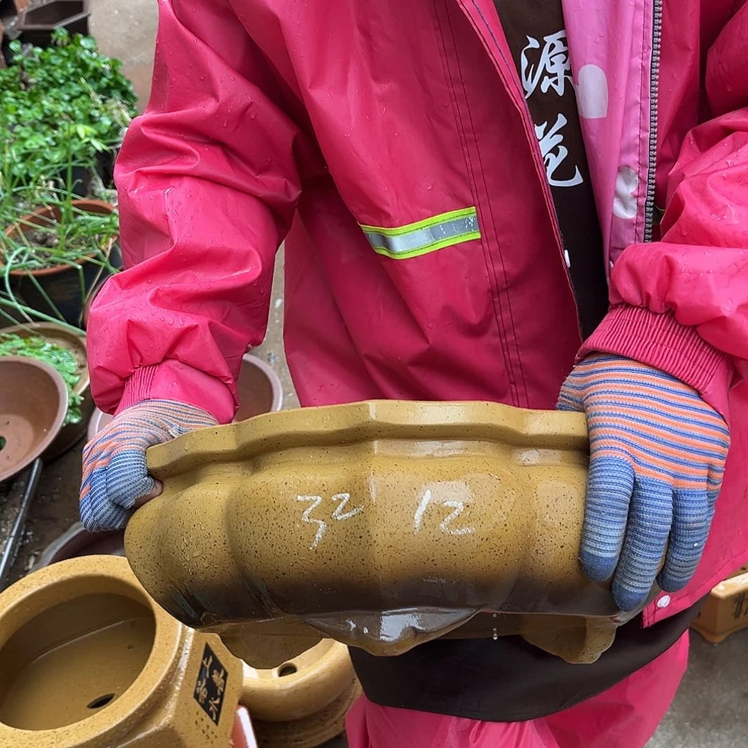 紫砂花盆盆景艺术