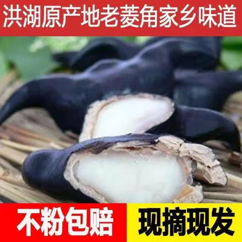 洪湖菱角新鲜生棱角粉糯老菱角农家湖北特产黑凌角蔬菜5斤包邮