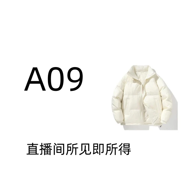 编号【A09】2025冬季新款免洗加厚保暖气质连帽白鸭绒羽绒服