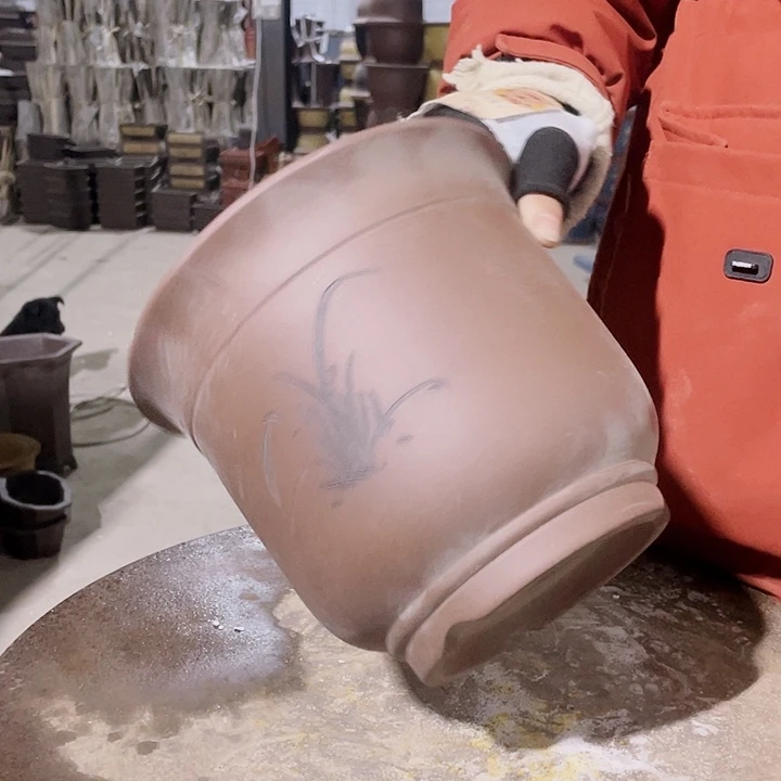 紫砂紫色花盆里有红