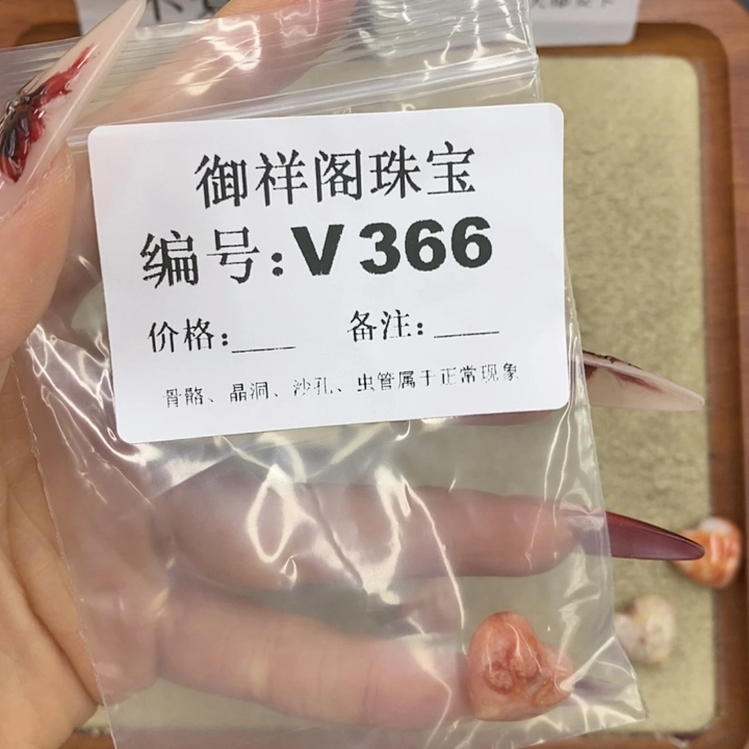 硅化珊瑚（珊瑚玉）颈饰未镶嵌帅***帅