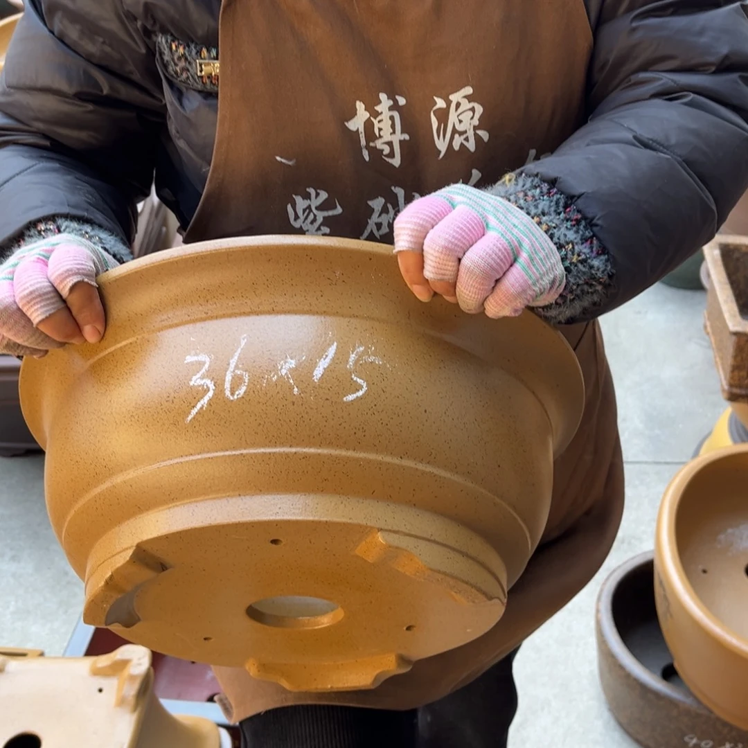 花盆紫砂盆景艺术