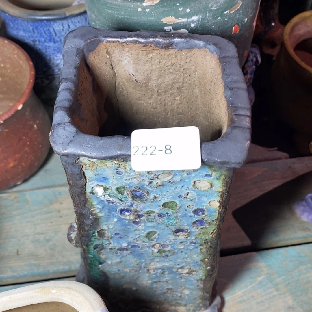 红陶鸡**妹222-8花盆