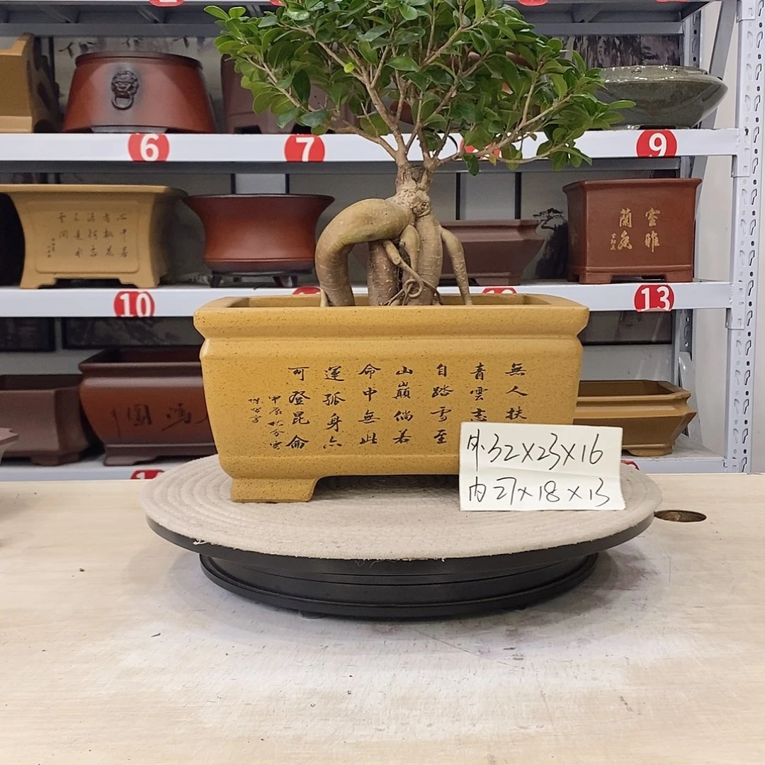 花盆紫砂紫砂花盆