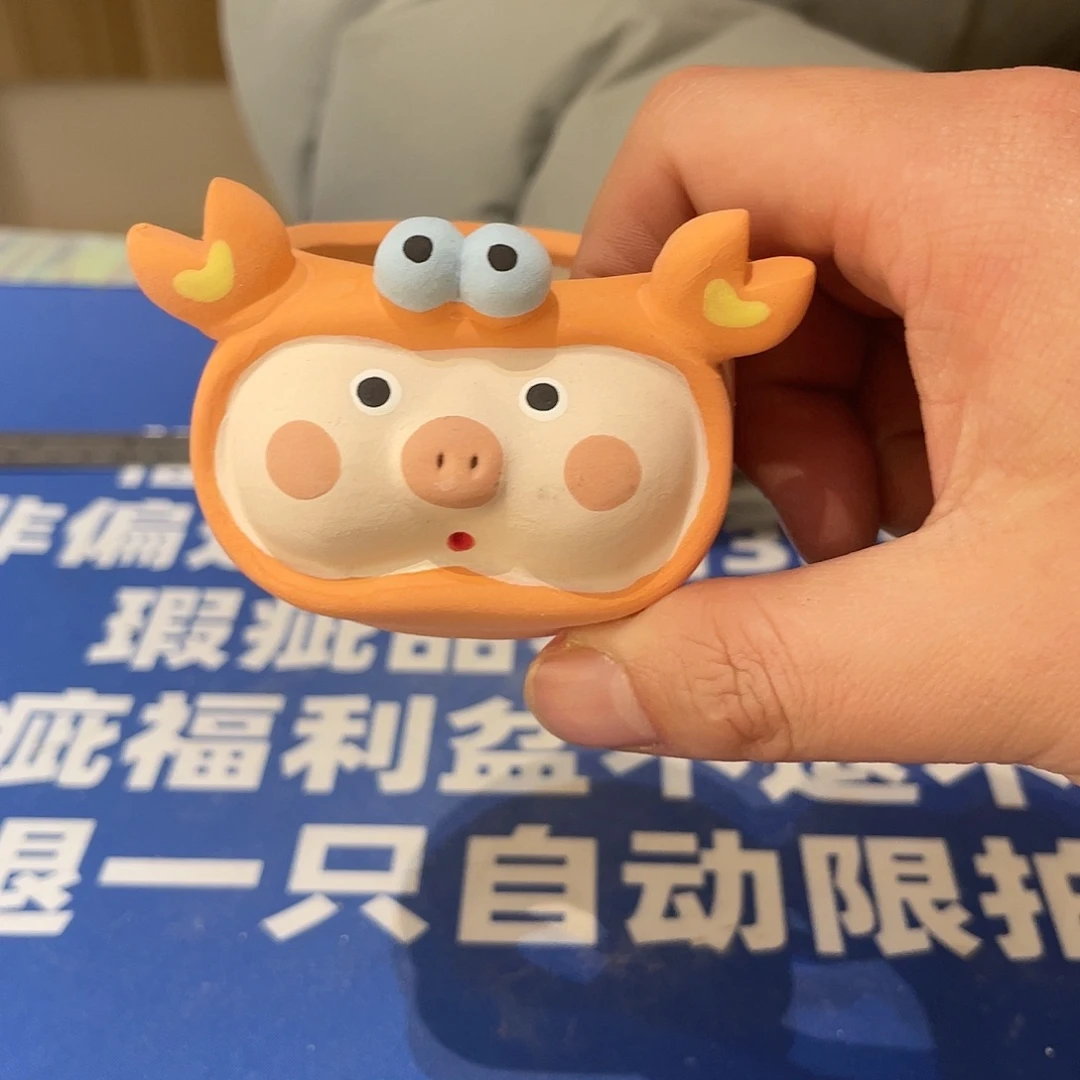 红陶马上就要开始发财哦281