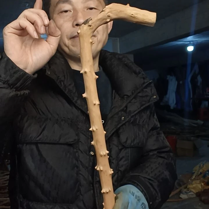 稳定木明***好贵州檬子木   铁马鞭   根艺  半成品