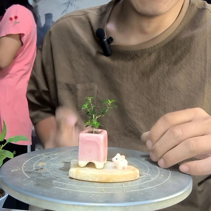 你**呀中青园艺一物一拍114