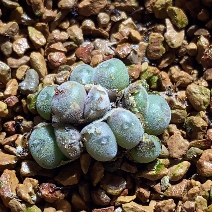 4143一组一组一组