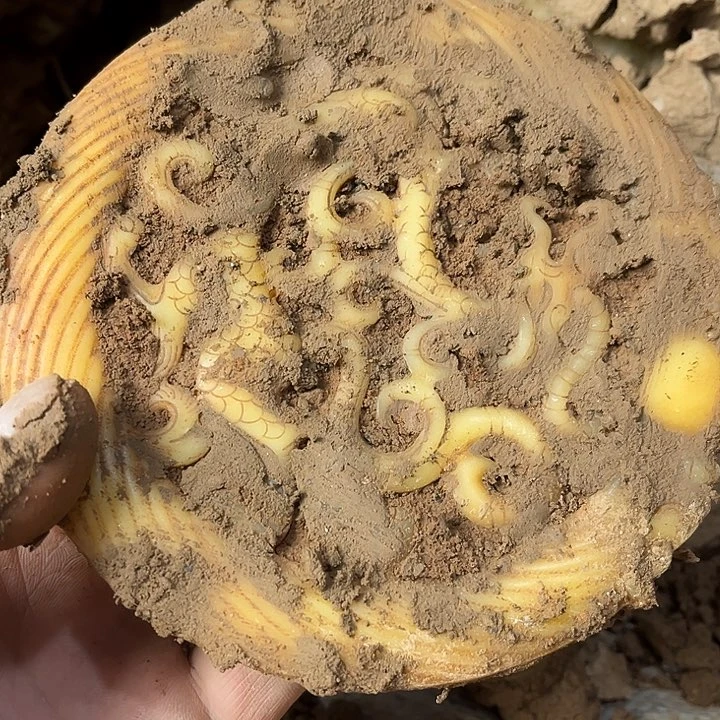 瓷片瓷器紫砂壶啊，