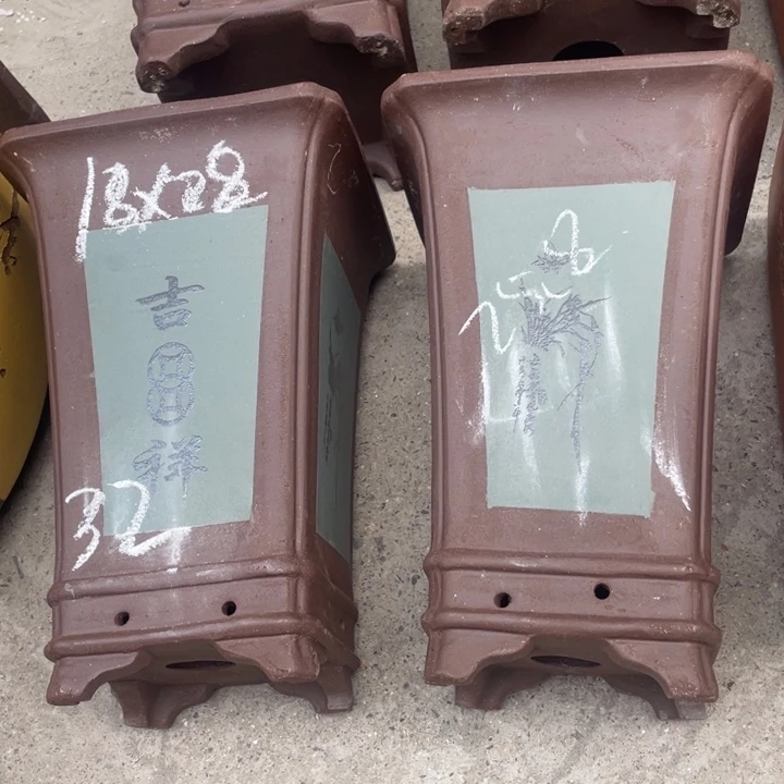 周三周四试试再说啧啧啧