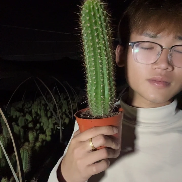 爱***林无花朵倾城就哈哈哈哈哈哈哈