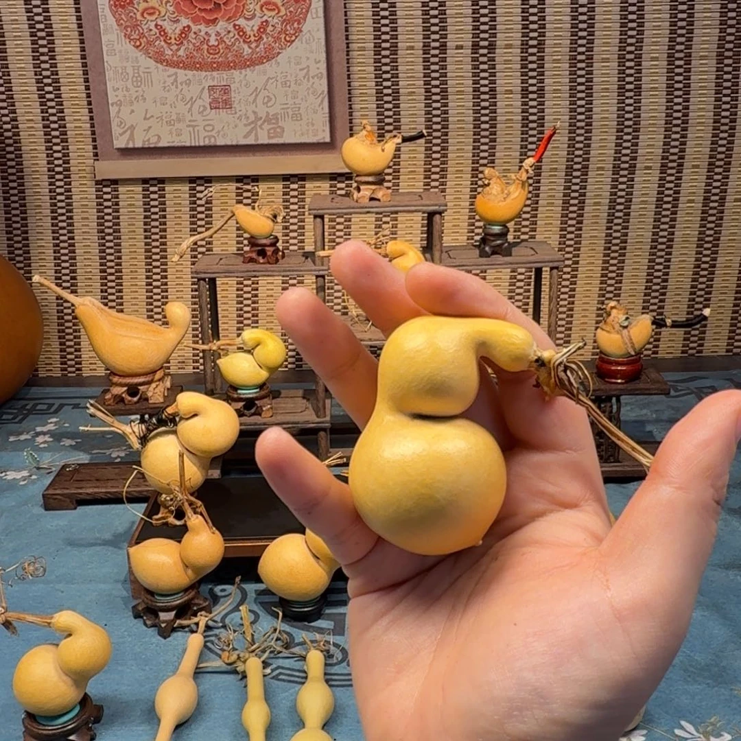 遍***开手把蚂蚁弓背贴肚