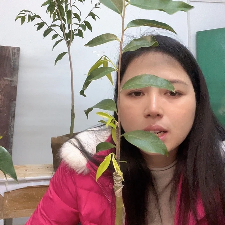 完全开放222222222