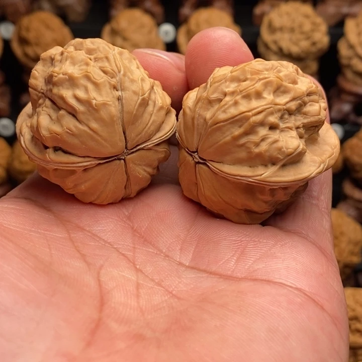 文玩核桃把件9金甲荷叶蟾