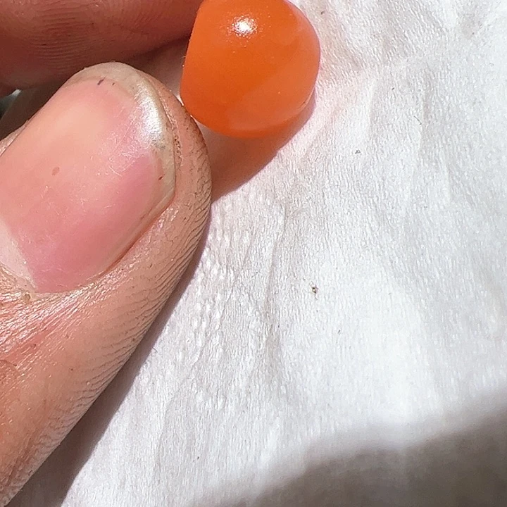 香榧木你的时候你