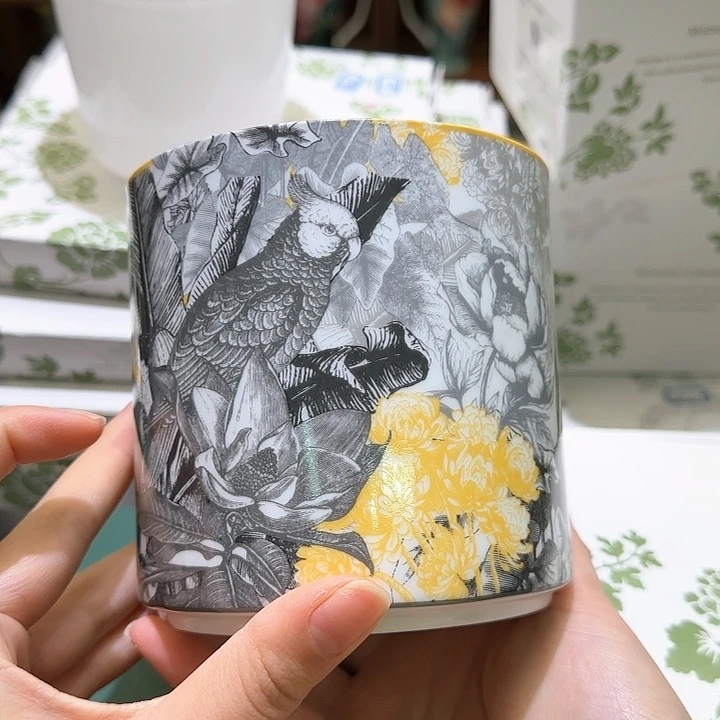 骨瓷实付满10包邮哈