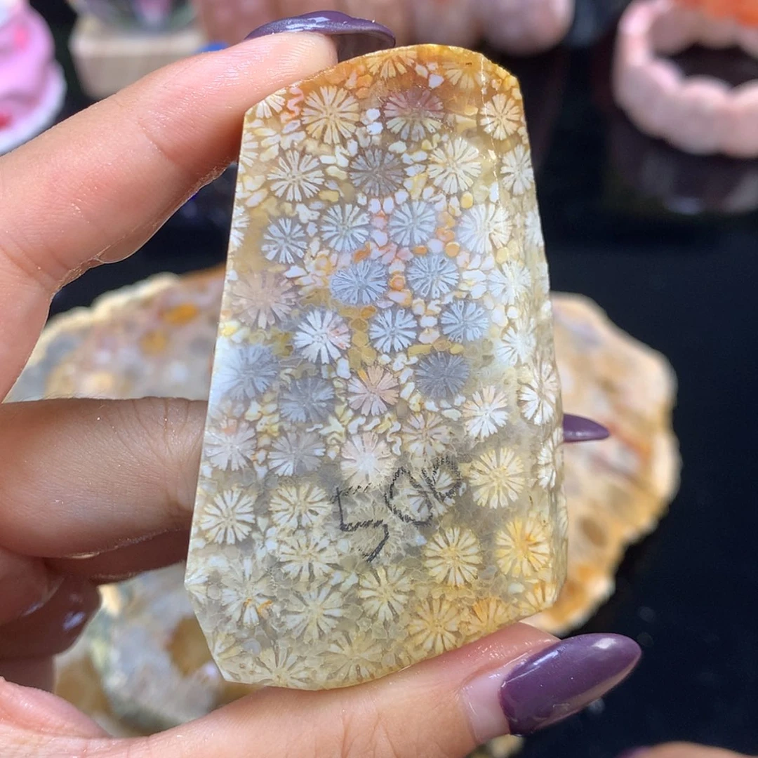【闪购商品】颈饰未镶嵌硅化珊瑚（珊瑚玉）哇 彩花片料可定制（42号）