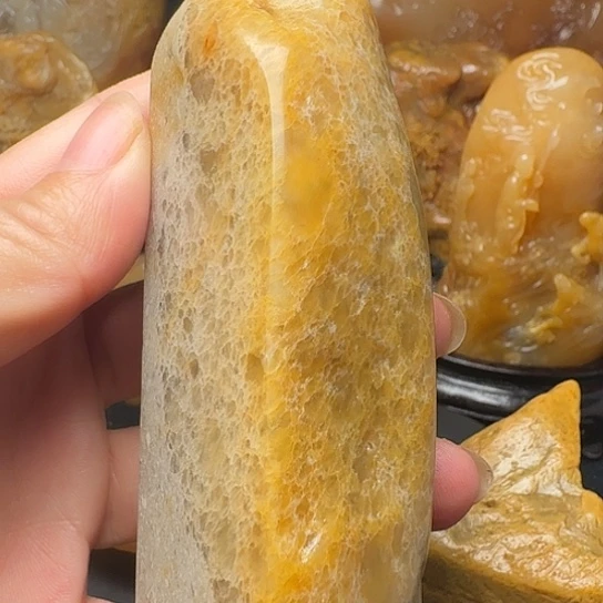 昌化石昌化蛇皮冻印章