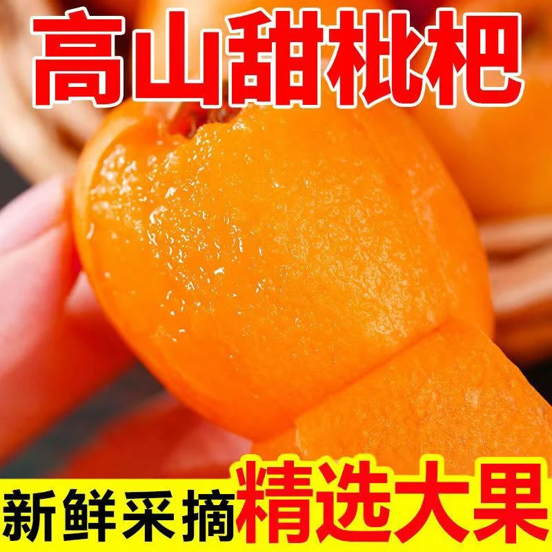 【次日达】四川枇杷琵琶当季新鲜水果现摘现发大五星枇杷3斤装四川省