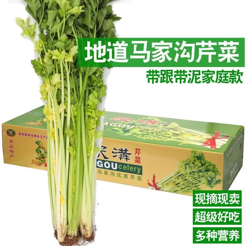 【带根】【包邮】马家沟芹菜空新鲜上市山东青岛平度特产蔬菜凉拌芹菜