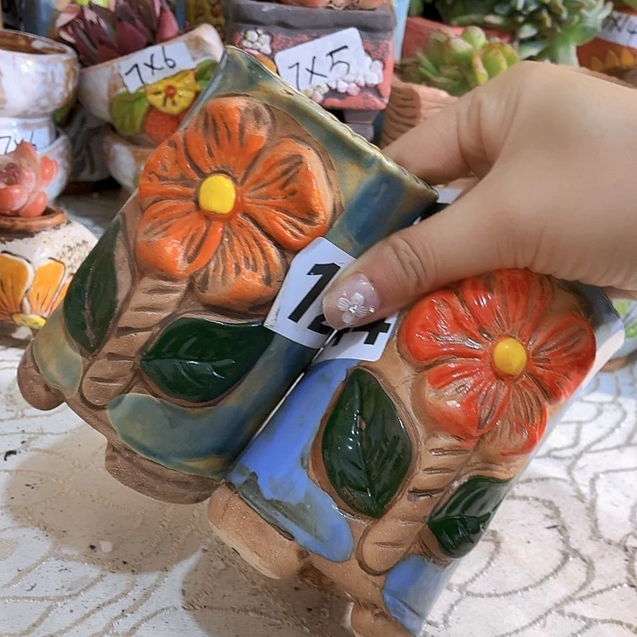 多肉花盆满15包邮