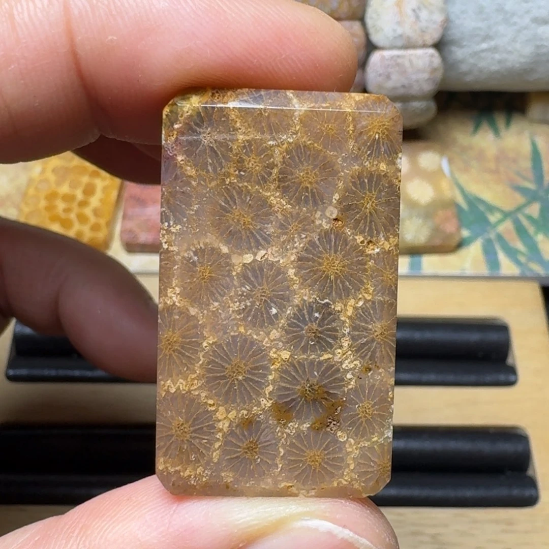 硅化玉清晰立体花纹未镶嵌t****w